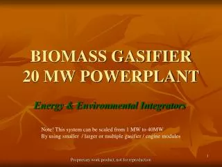 BIOMASS GASIFIER 20 MW POWERPLANT