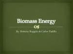 Biomass Energy - slide 1