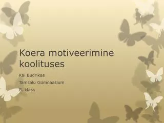 Koera motiveerimine koolituses