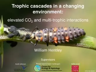Trophic cascades in a changing environment: elevated CO 2 and multi-trophic interactions