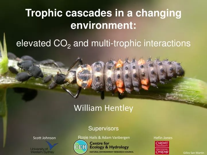 trophic cascades in a changing environment elevated co 2 and multi trophic interactions