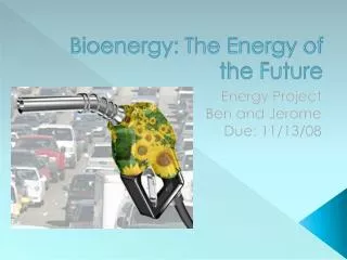 Bioenergy: The Energy of the Future