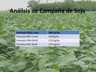 an lisis de campa a de soja