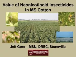 Value of Neonicotinoid Insecticides In MS Cotton