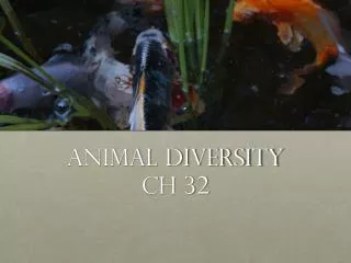 Animal diversity Ch 32