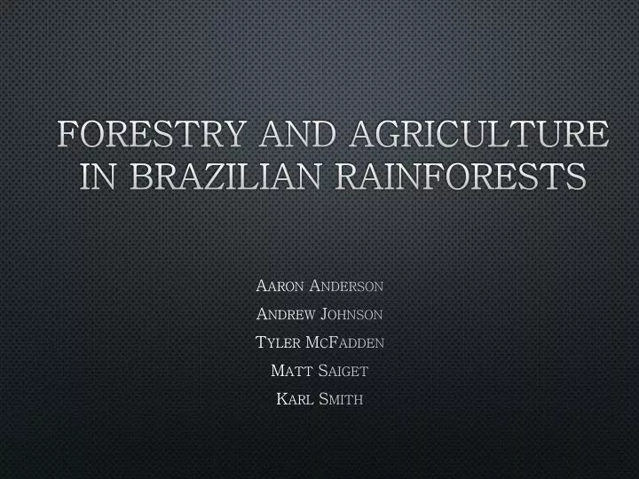forestry and agriculture in brazilian rainforests