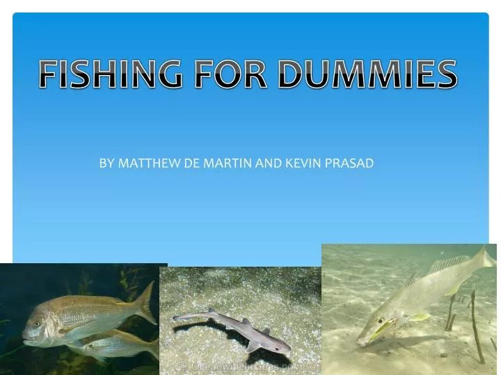 PPT - BY MATTHEW DE MARTIN AND KEVIN PRASAD PowerPoint Presentation, free  download - ID:2150331