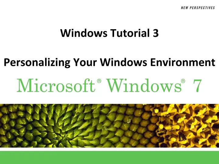 windows tutorial 3 personalizing your windows environment