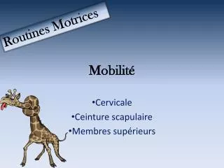 mobilit