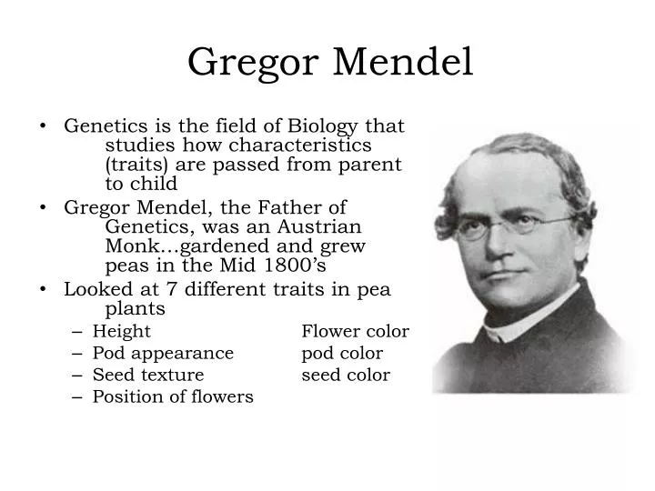 gregor mendel