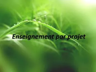 enseignement par projet