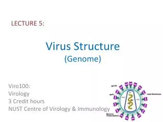 Virus Structure (Genome)