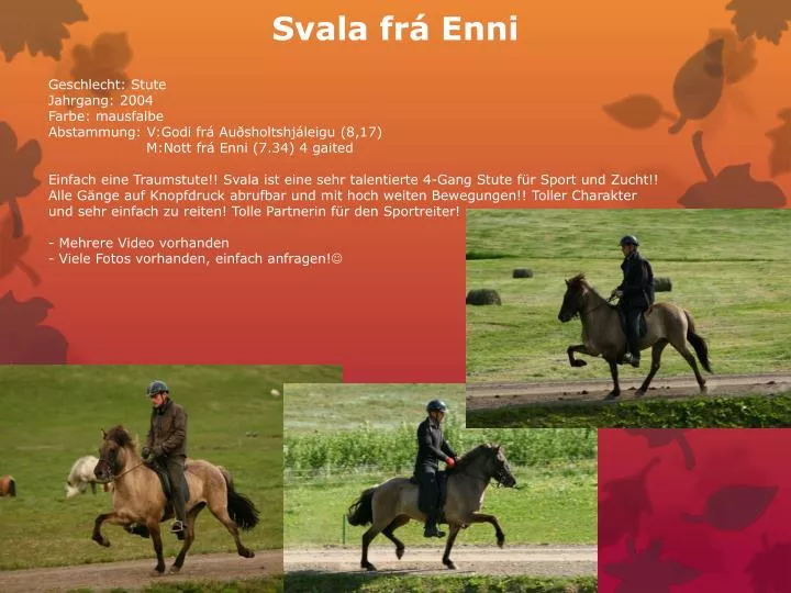 svala fr enni