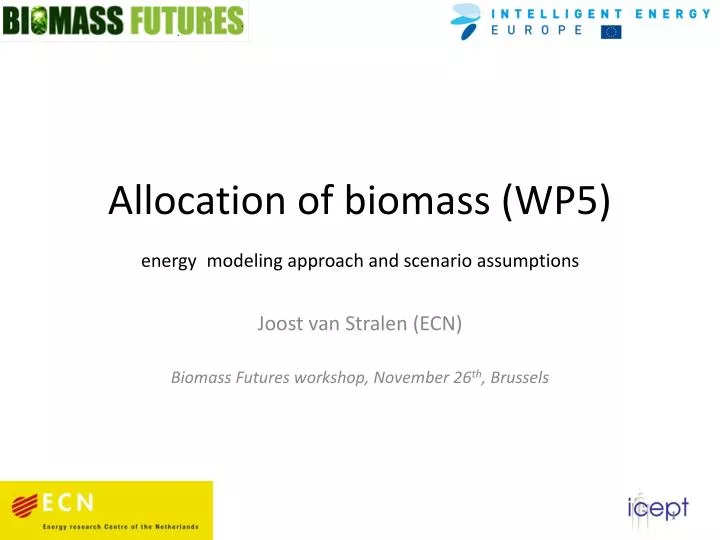 allocation of biomass wp5 energy modeling approach and scenario assumptions