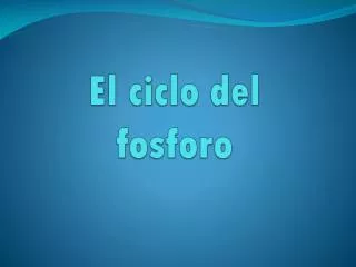 el ciclo del fosforo