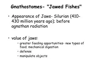 Gnathostomes- &quot;Jawed Fishes&quot;