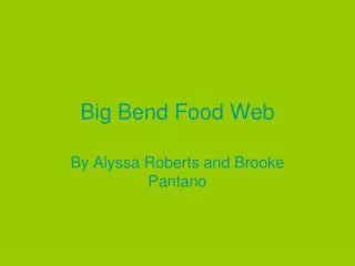 Big Bend Food Web
