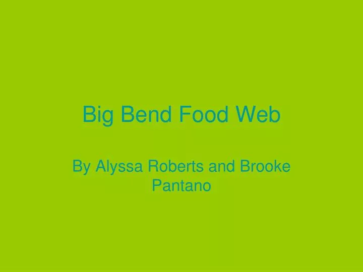 big bend food web