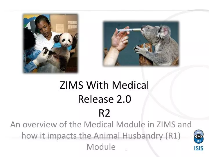 zims with medical release 2 0 r2