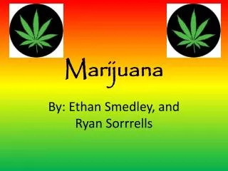 Marijuana