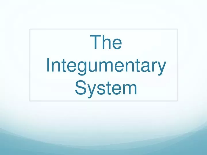 the integumentary system