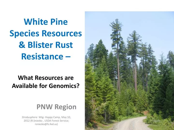 white pine species resources blister rust resistance what resources are available for genomics