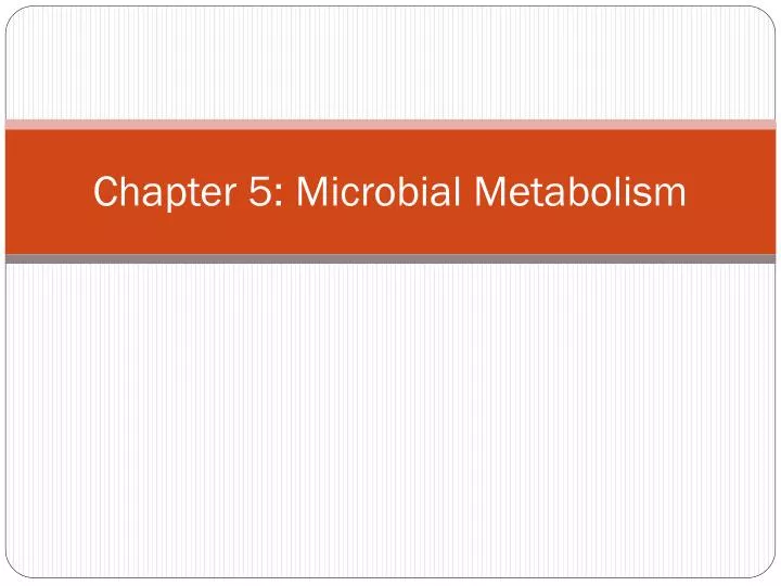 chapter 5 microbial metabolism