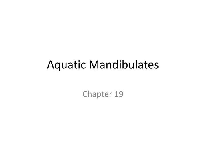 aquatic mandibulates