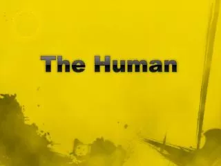 The Human