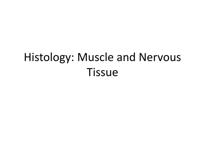 histology muscle and nervous tissue
