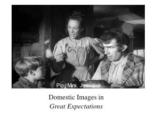 Domestic Images in Great Expectations