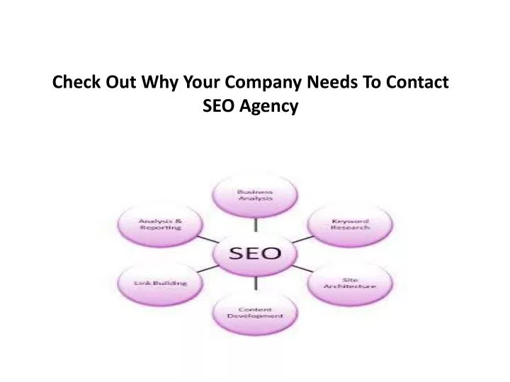 check out why your company needs to contact seo agency