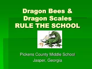 Dragon Bees &amp; Dragon Scales RULE THE SCHOOL