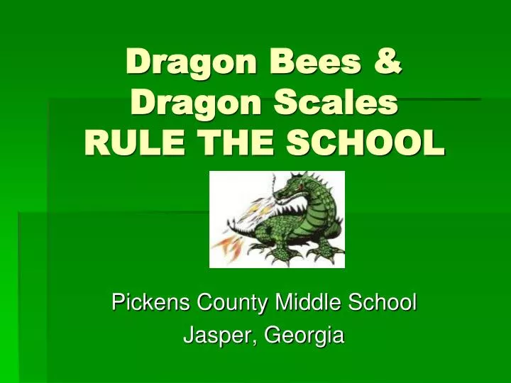 dragon bees dragon scales rule the school