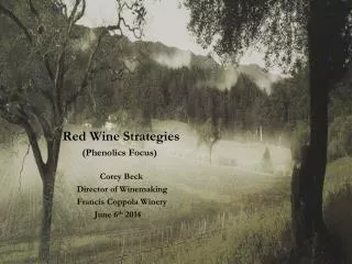 Red Wine Strategies (Phenolics Focus) Corey Beck Director of Winemaking