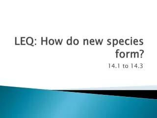 LEQ: How do new species form?