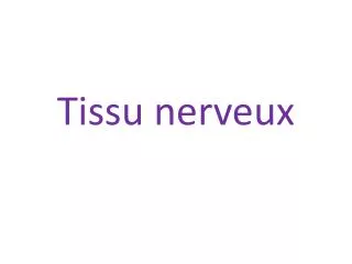 tissu nerveux