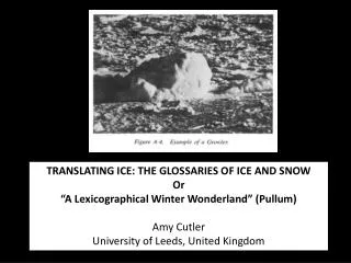 TRANSLATING ICE: THE GLOSSARIES OF ICE AND SNOW Or