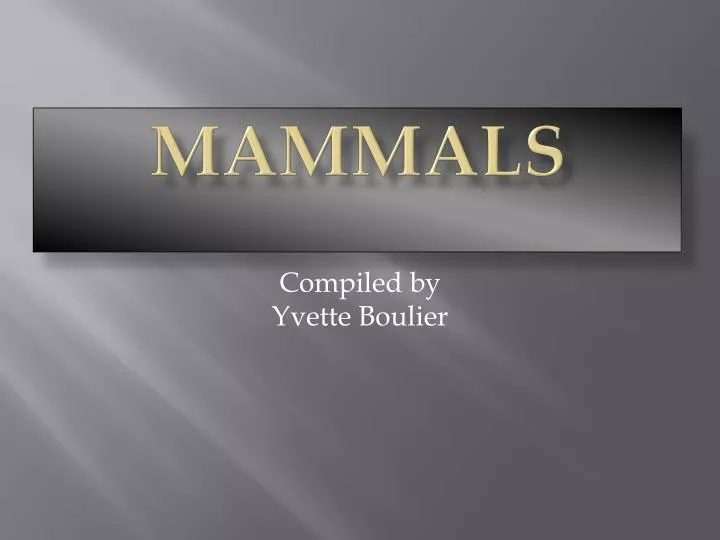 mammals