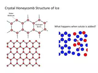 Crystal Honeycomb Structure of Ice