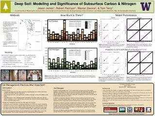 Deep Soil: Modeling and Significance of Subsurface Carbon &amp; Nitrogen