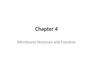 chapter 4