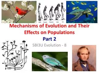 Mechanisms of Evolution and Their Effects on Populations Part 2