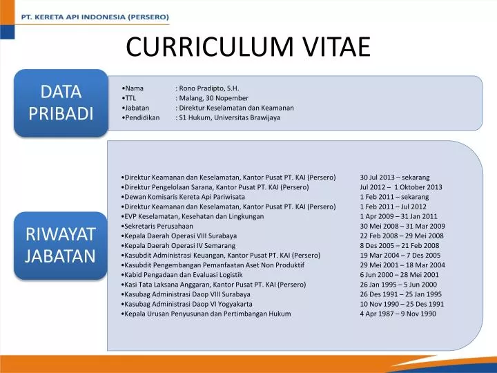 curriculum vitae