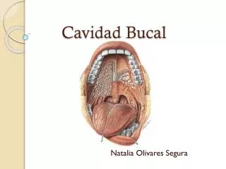 cavidad bucal