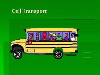 cell transport