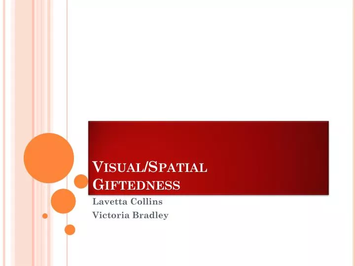visual spatial giftedness