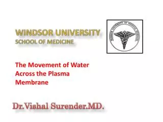 WINDSOR UNIVERSITY SCHOOL OF MEDICINE