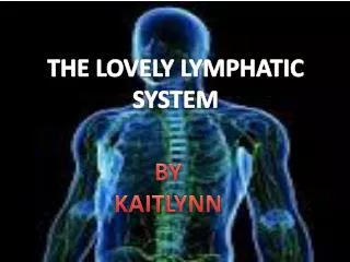 LOVELY LYMPHATIC SYSTEM