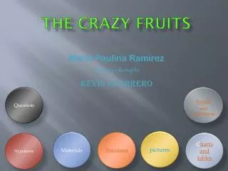 THE CRAZY FRUITS